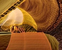 organ of corti still from 3D movie