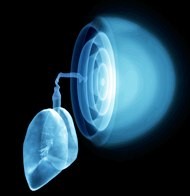 source-filter theory acoustics of the voice human speech